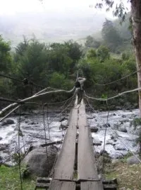 The wire stayed bridge